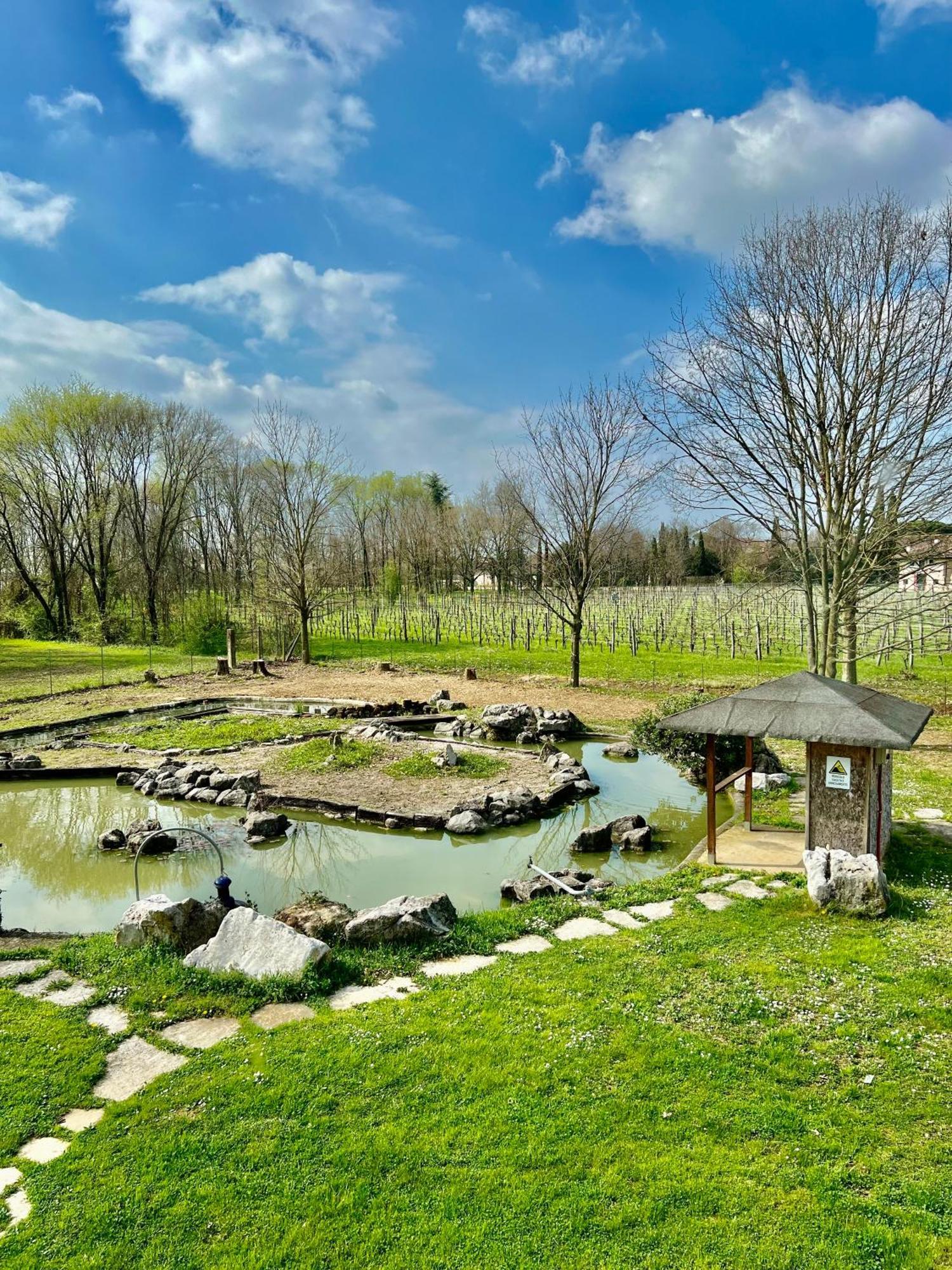 Villa Saten Pavia d'Udine Екстериор снимка